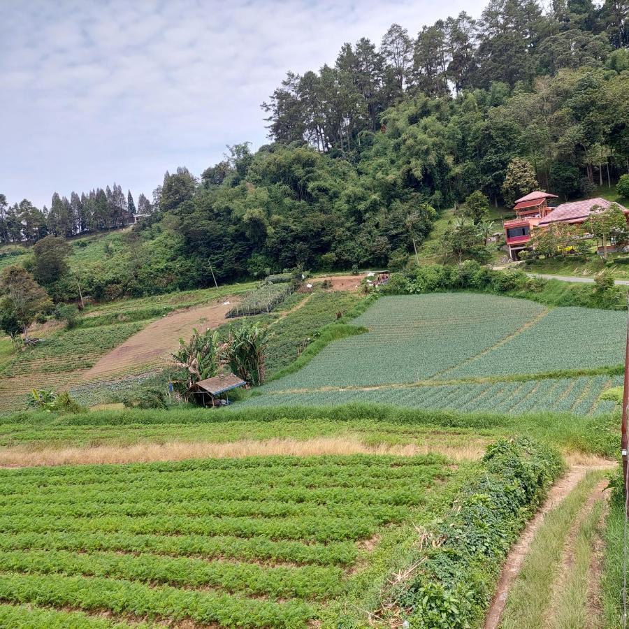 Sapo Rumbia Villa Berastagi Bilik gambar